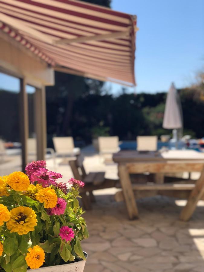Le Paradis D'Anny Rouffiac-d'Aude المظهر الخارجي الصورة